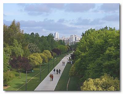 11 - JARDINES UBICADOS EN EL CURSO DEL ANTIGUO CAUCE DEL RIO TÚRIA